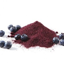 черника сушеная порошок
