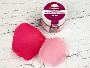 рожева троянда