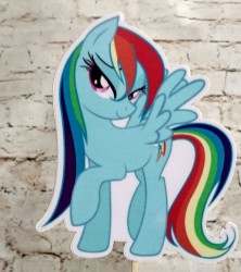 пони пластик